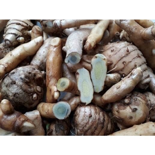 

COD 1kg Terlaris kunyit hitam segar/temu ireng/temu hitam/kunyit/kunyit hitam Terlaris kang store ready