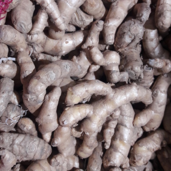 

Temu mangga fresh 1 kg