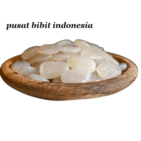 

PROMO SEGAR buah aren/kolang kaling 1 kilo kwalitas premium