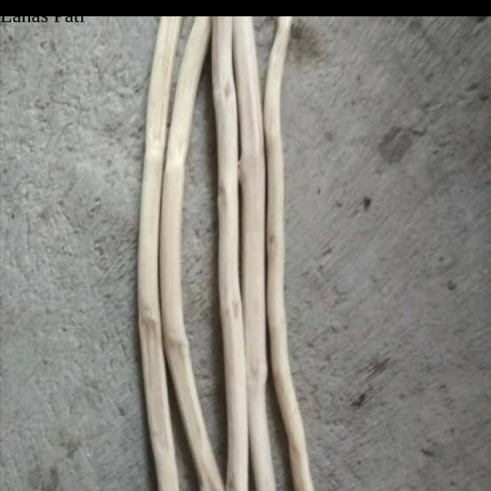 

SALE!! RANTING KAYU JATI - TANGKRINGAN IGUANA - RANTING KAYU MACRAME Murah XD8