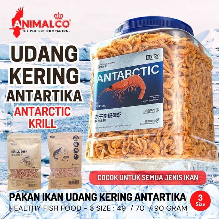 Pakan Udang Kering Antartika Premium / Pakan Ikan / Pakan Kura kura / Pakan Arwana