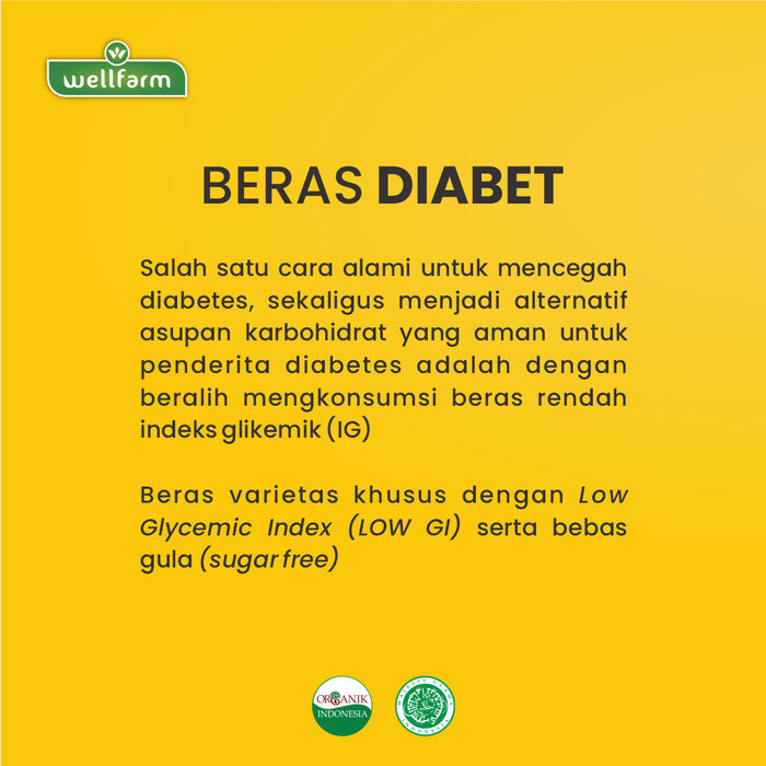 

Wellfarm Beras Diabetes Organik 5Kg Paket Bundling