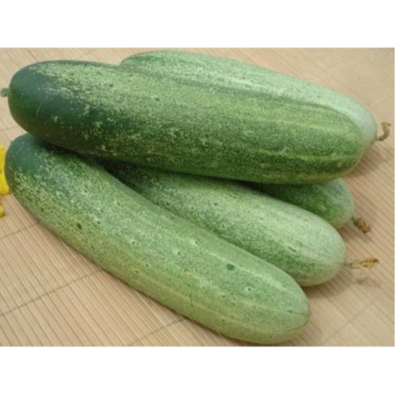 

Timun Lokal Segar 500 gram - local cucumber 500 gram