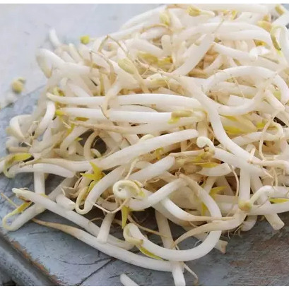 

Sayur Toge - Kecambah 250 gram