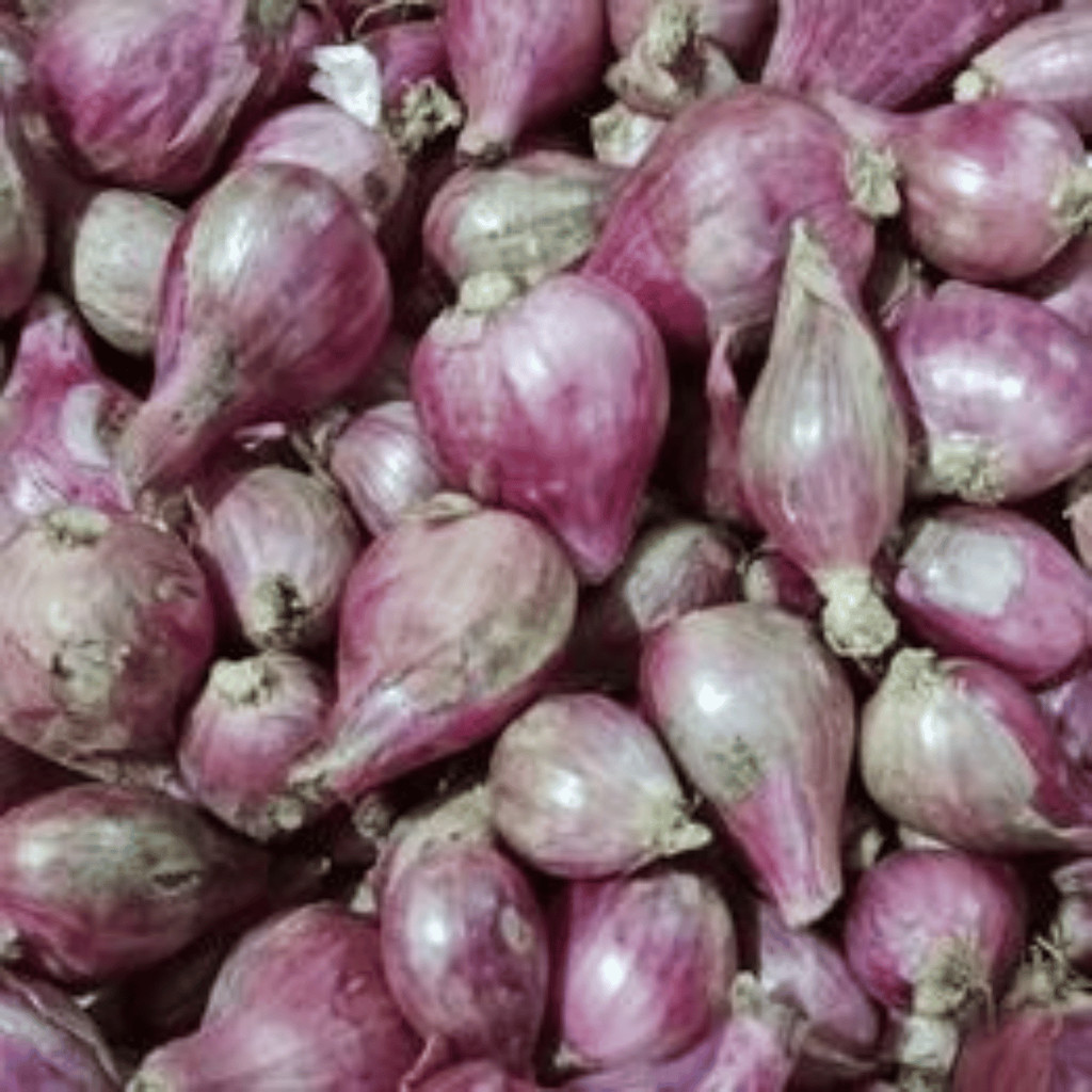 

bawang merah murah gratis ongkir bwang merah 1 kg bawang merah kering bawang merah super