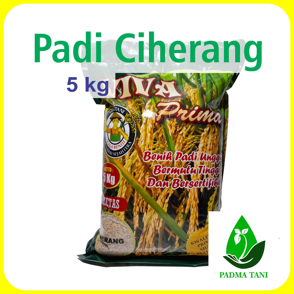 Benih Padi Ciherang 5 kg Viva Tani Prima Unggul bibit biji beras pari hydroponik hidroponik