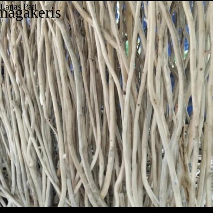 

ranting kayu jati 150cm per 10pcs - tangkringan kandang ternak murai FXN10 XD6