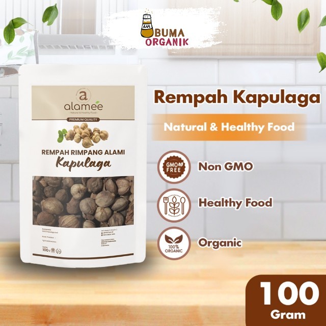 

ALAMEE Kapulaga Kering Lokal Cardamom Kapolaga Kapol Rempah Organik Bumbu Seasoning Masakan 100gr BUMA