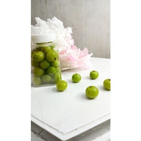 

Buah Malaka Segar 1kg Buah Amla Gooseberry Promo Termurah Terbatas