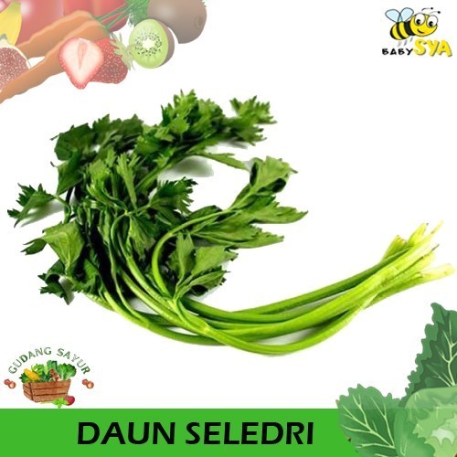 

Daun Seledri 100g Sayur Segar Bekasi Jakarta Timur Utara Selatan Pusat
