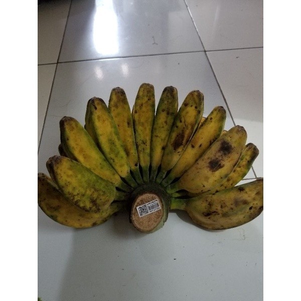 Pisang Kepok