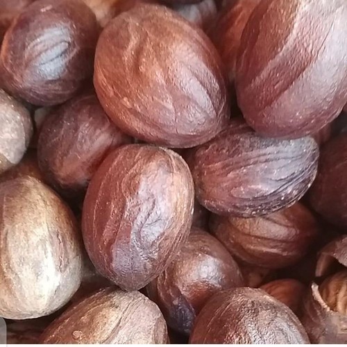 

KHO Biji Buah Pala Kering satuan Utuh dengan Batok
