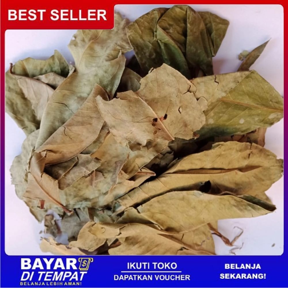 

OMH Terlaris Ts Murah DAUN SALAM Kering 100gram Peradangan Tukak Lambung Batu Ginjal Mata