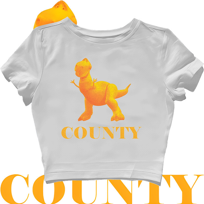 CROP TOP REX ORANGE COUNTY TOY STORY REWORK | GRUNGE | CROPTOP | CROP TEE SLIM FIT STYLE Y2K VINTAGE