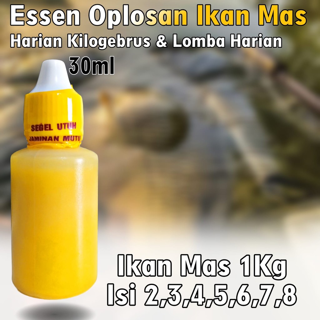 Essen Ikan Mas Harian Kilogebrus, Essen Ikan Mas Rame Totalan, Essen Ikan Mas Susu Melon Melati