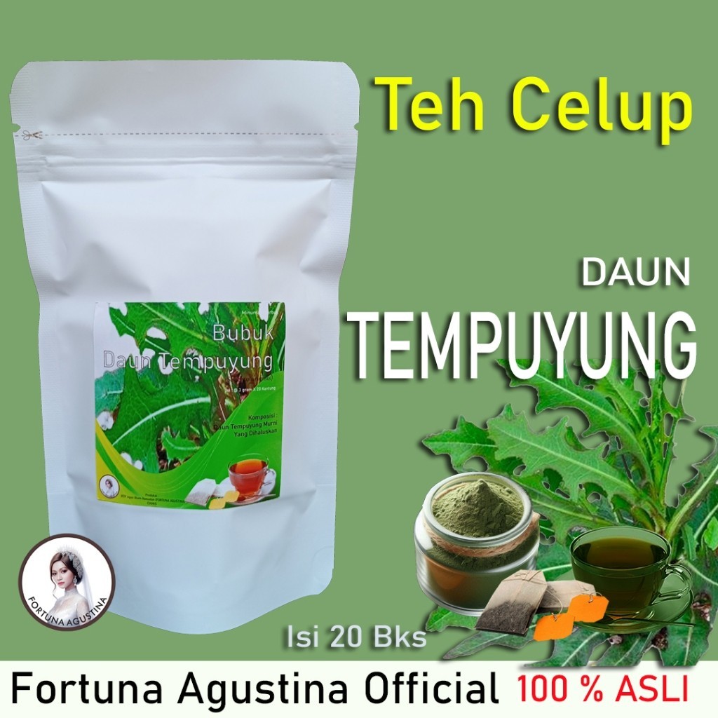 

Teh Celup Daun Tempuyung, Sebagai Penawar Racun Tubuh, Mengatasi Penyakit Asam Urat