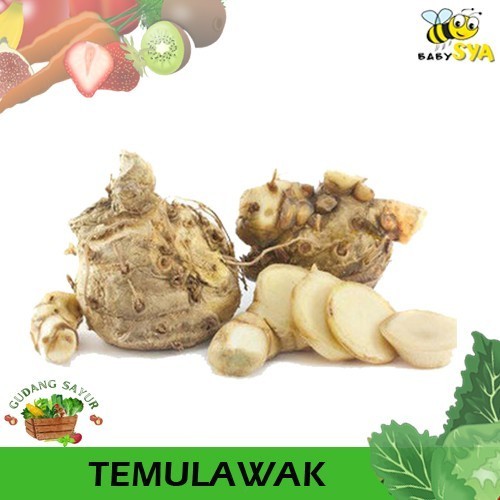 

Temu Lawak 500gr Sayur Segar Bekasi Jakarta Timur Utara Selatan Pusat