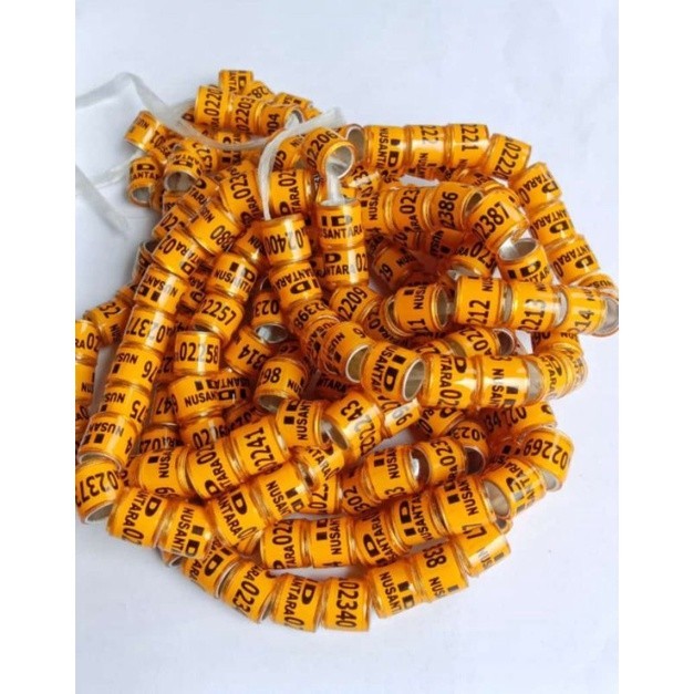 RING BURUNG MERPATI PIGEON MERPATI POS RACING ID NUSANTARAmurah