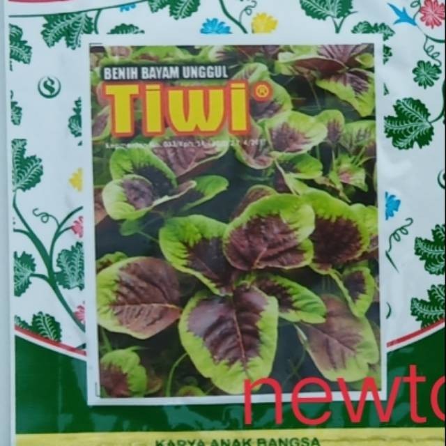 Benih bayam TIWI 10gram bayam merah bayam belang TIWI 10 gram smallpack kemasan kecil 10.500 butir d