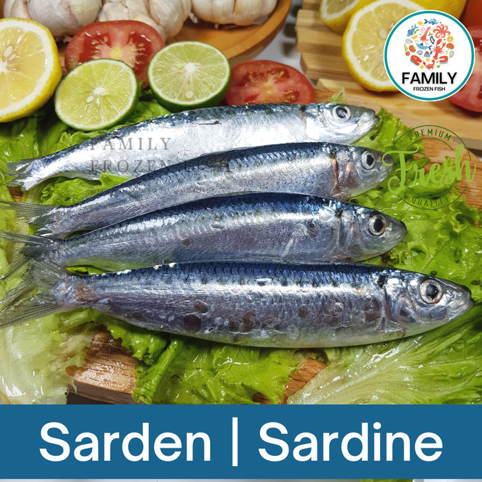 

Ikan Sarden Segar Utuh | Ikan Sarden Frozen Beku Premium 1 kg