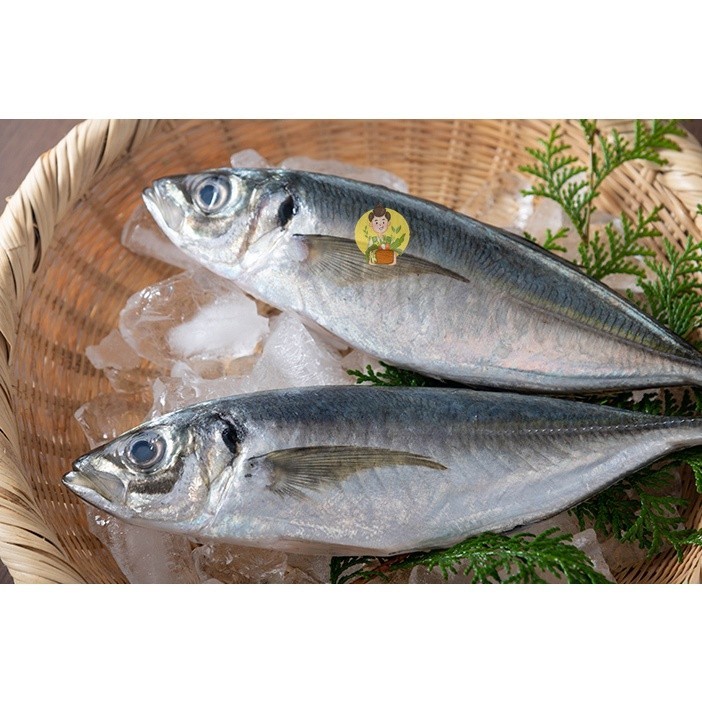 

Ikan Kembung Fresh Frozen 500 gr - Sayur Segar Instan Malang