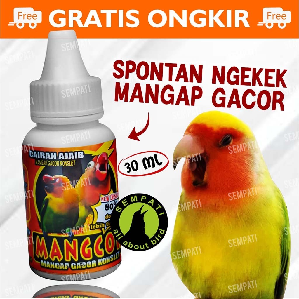 MANGCOR MANGAP GACOR VITAMIN OBAT DOPING BURUNG LOVEBIRD LOVE BIRD NGEKEK KONSLET SUPER FIGHTER VMNC