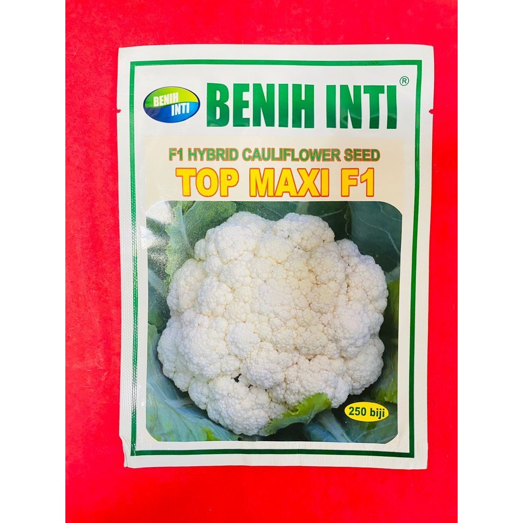Benih Bunga Kol TOP MAXI F1 dari DINASTY INTI AGROSARANA kemasan 250 biji