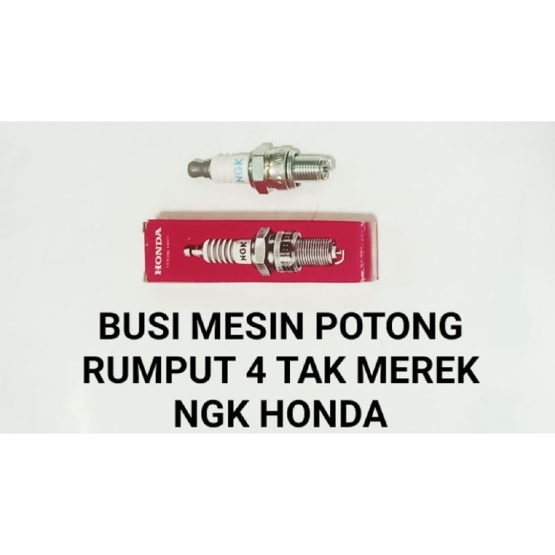 BUSI MESIN POTONG RUMPUT 4 TAK NGK HONDA