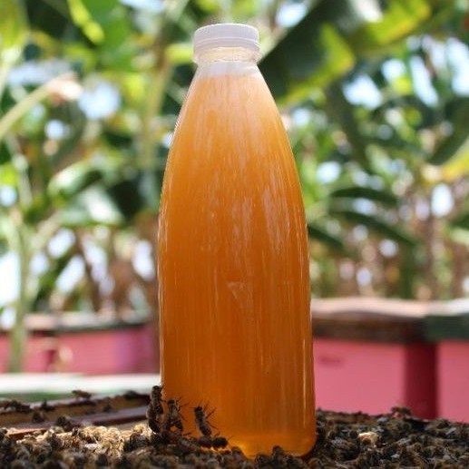 

[Ready stok] 600 ml madu Asli dan Murni