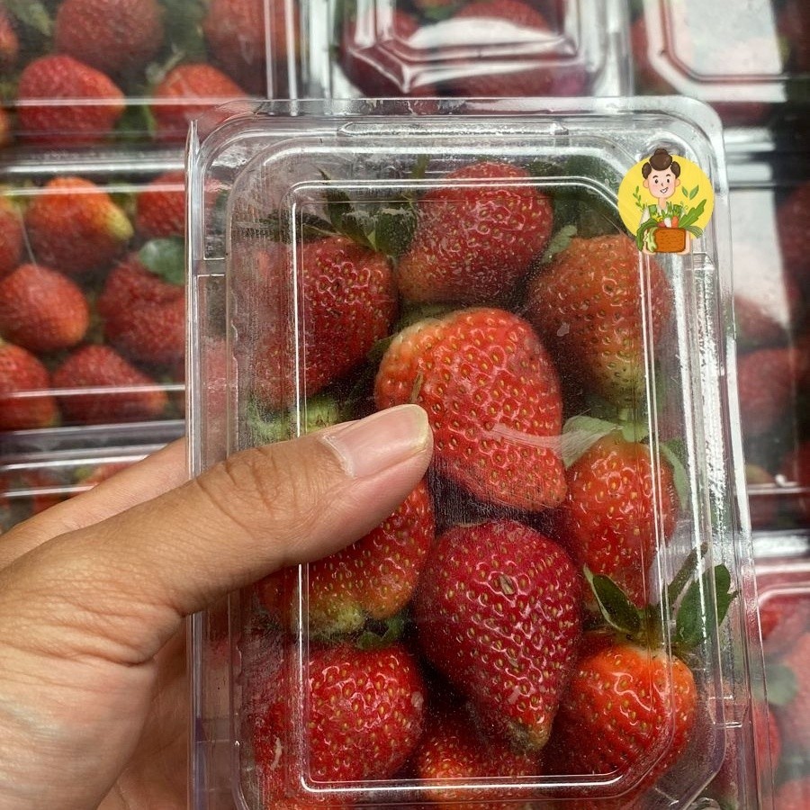 Buah Strawberry / Strawberry Fresh   / Strawberry Segar 250gram - 500gram