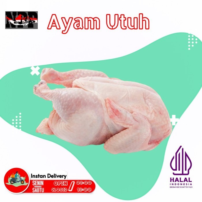

Ayam Karkas Broiler / Ayam Utuh 500-1300Gram - 500gr - 600gr