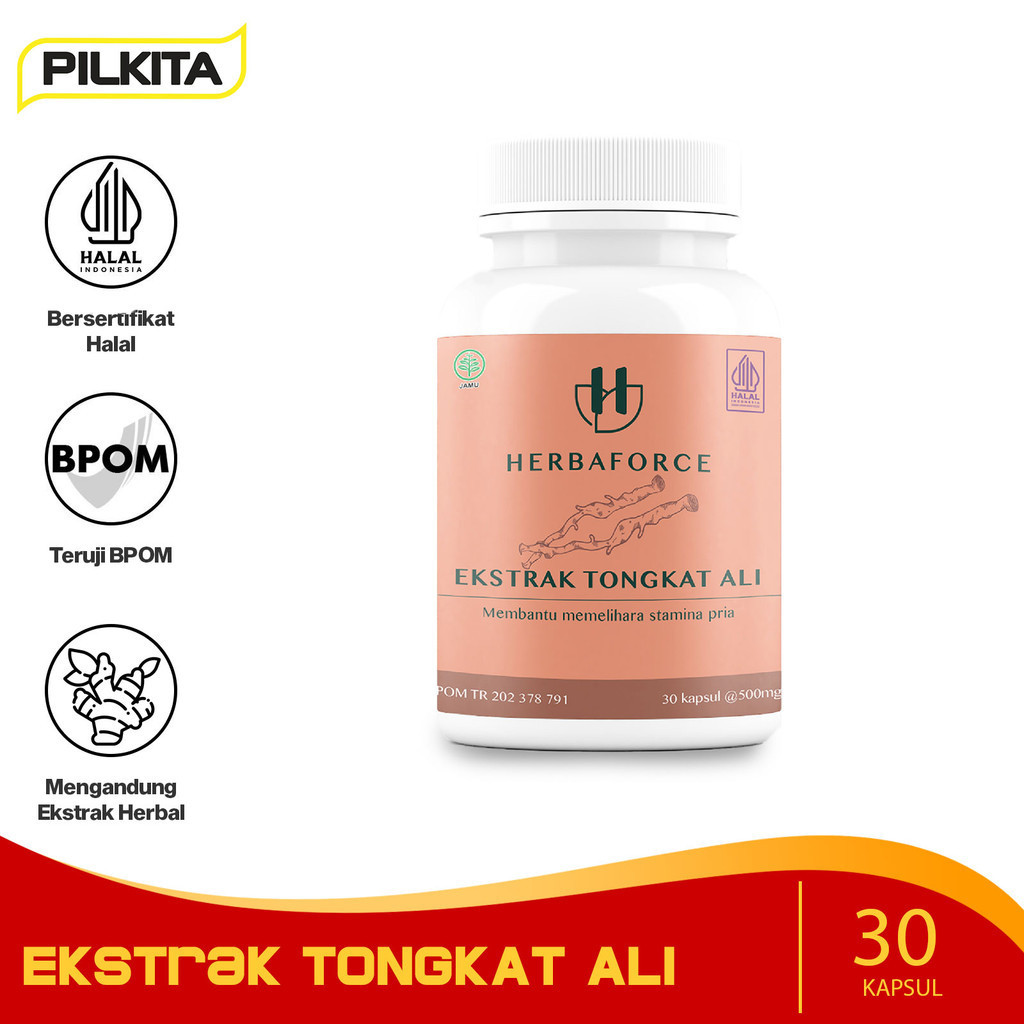 HERBAFORCE Ekstrak Tongkat Ali Obat Suplemen Herbal 30 / 60 Kapsul Memelihara Kesehatan Stamina Pria BPOM HALAL-30 Kapsul