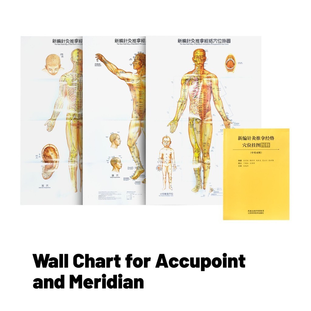 Wall Chart For Accupoint and Meridian - Gambar Poster Titik Akupuntur SL