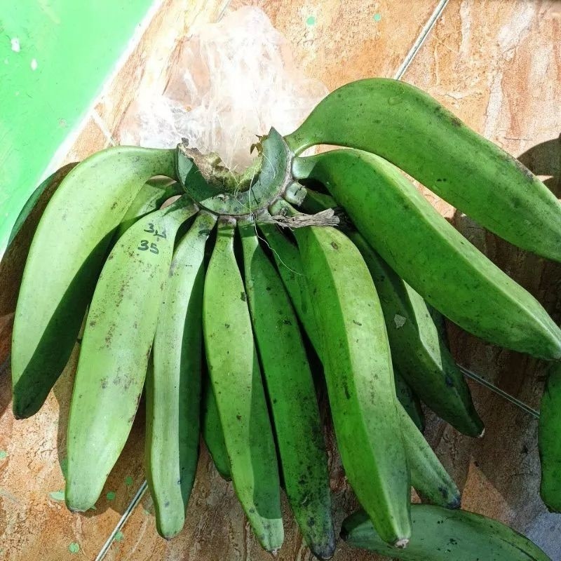 1-Kg Buah Pisang / Pisang Nangka Mentah / Buah Mentah / Buah Pisang Raja Nangka ready