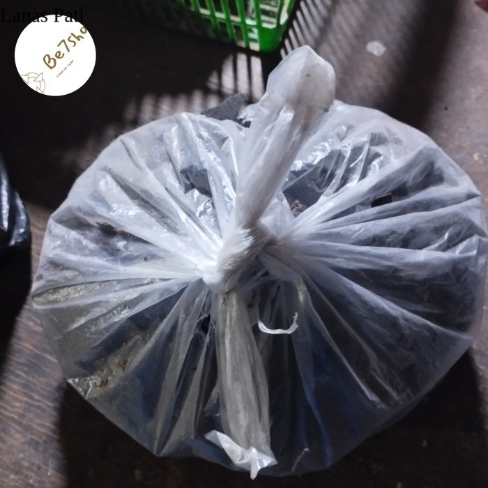 

Arang Kayu 1/2kg 500gr murah terlariss