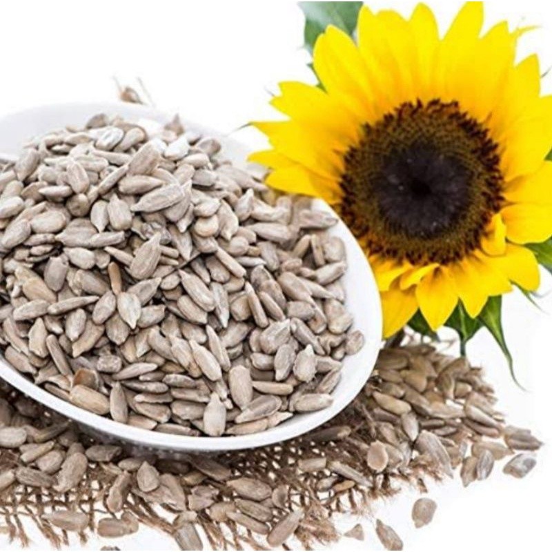 

sun flower seed 1 kg/biji matahari mentah tanpa kulit