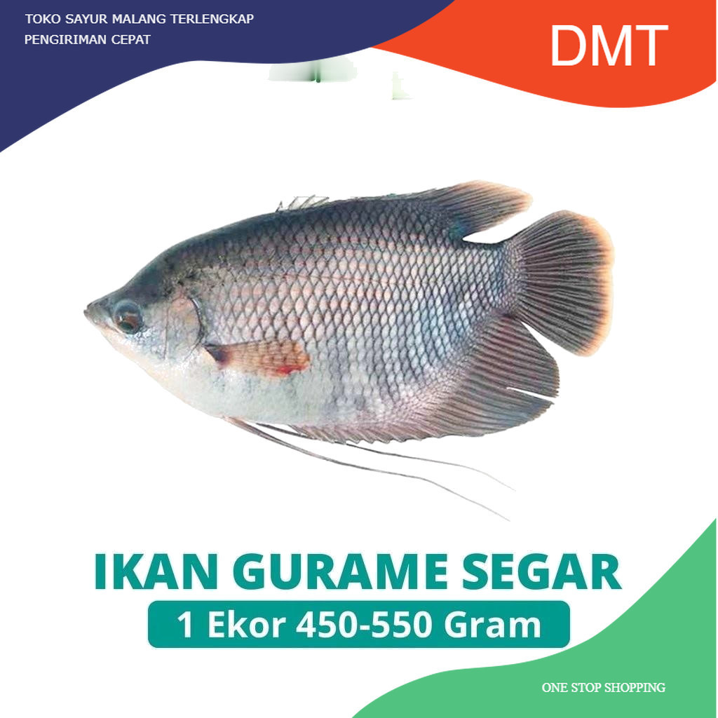 

Ikan Gurame/ Gurami Fresh - Sayur Sayuran