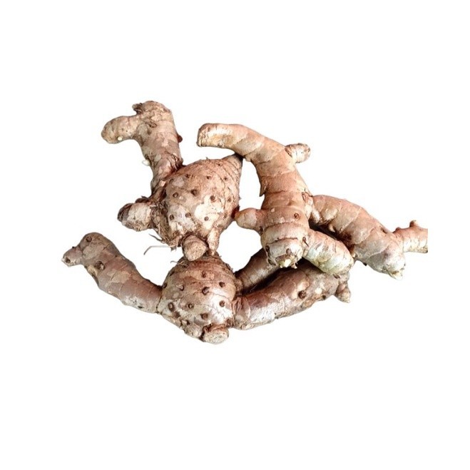 

1 kg TEMU PUTIH CURCUMA ZEDOARIA SEGAR KONENG BODAS GEDE ready .
