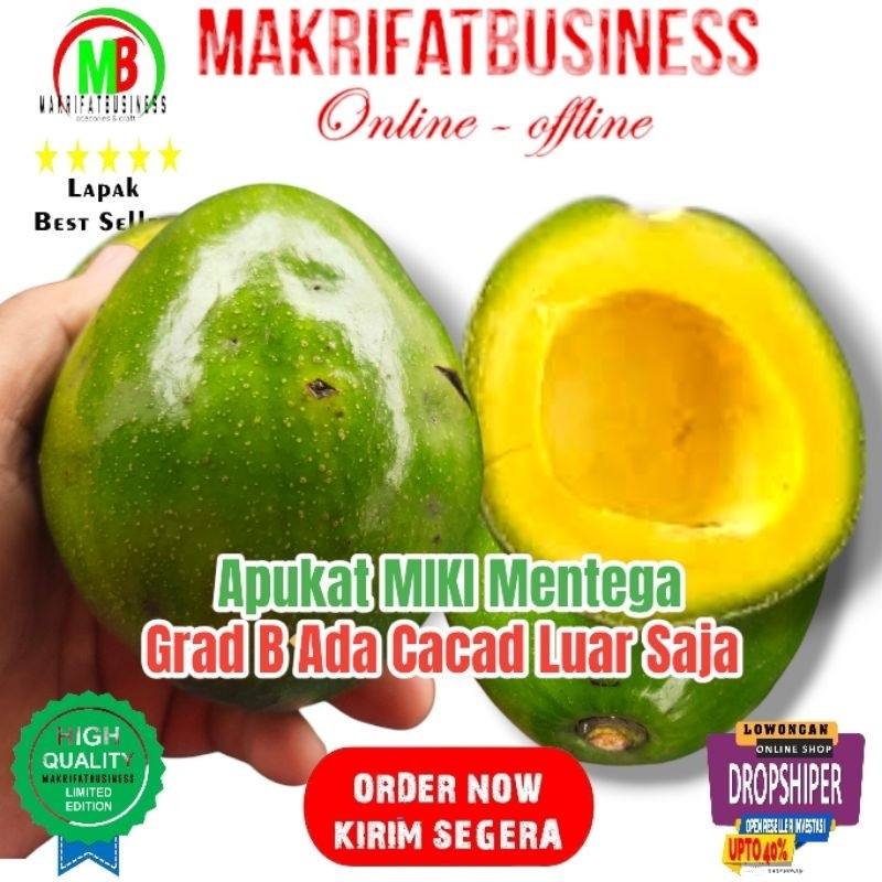 

IMDA HANDICRAFT Paket 1 kg 3 - 4 Buah APUKAT MIKI MENTEGA Kwalitas Grad B Langsung Petik Pohon
