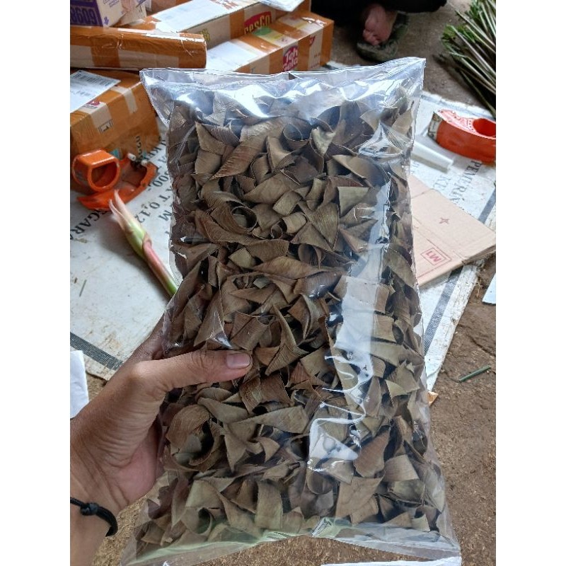 

daun karet kebo kering kemasan jumbo 250 gram