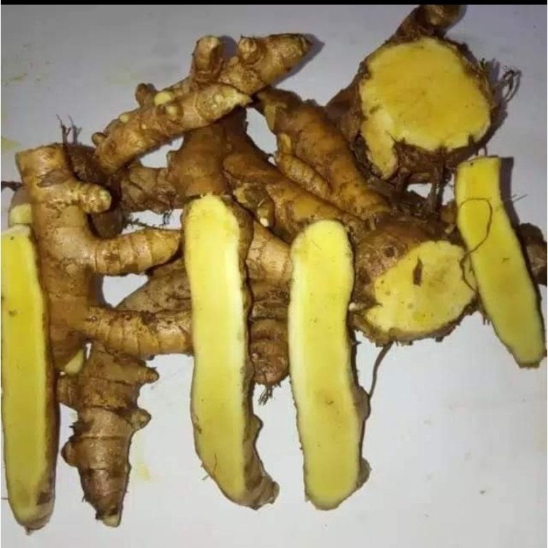 

TEMU Mangga isi 1kg