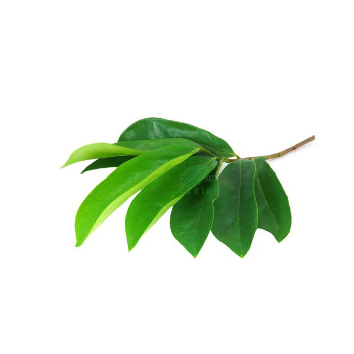 

TDS 100Lembar DAUN SIRSAK TUA SEGAR ORGANIC 100%