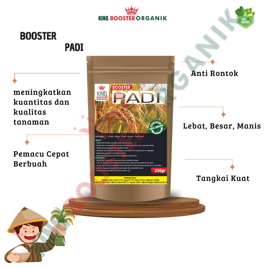 Pupuk Pelebat Padi dan Booster Perangsang Padi di Sawah Supaya Cepat Berbuah Super Lebat 250gr
