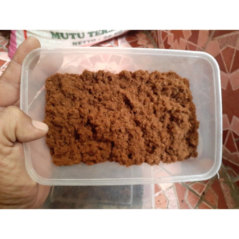 Spora Platycerium ridleyi (isi ratusan hingga ribuan)