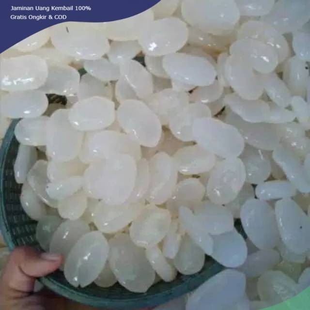 

BIG PROMO Kolang Kaling Mentah Grosir 1kg Murah ready
