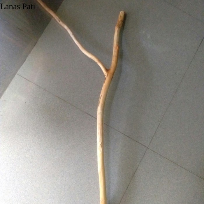 

Ranting kayu jati cabang 50 cm - ranting kayu macrame-prakarya ranting Murah XD8