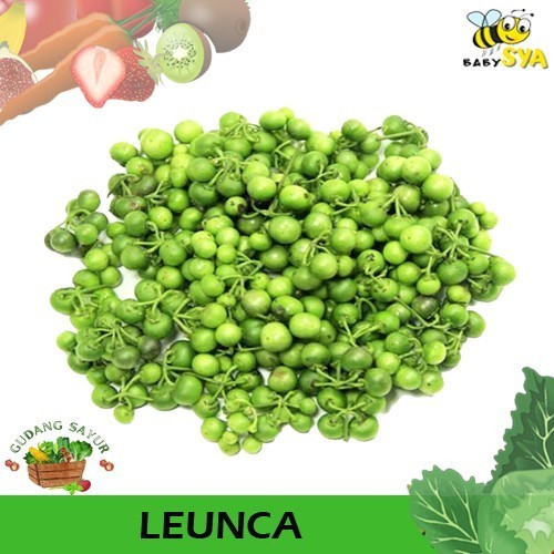

Leunca Sayur Segar Bekasi Jakarta Timur Utara Selatan Pusat