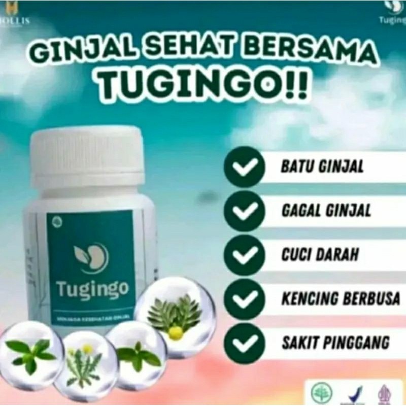 TUGINGO ASLI - OBAT TUGINGO ORIGINAL BPOM MENGOBATI BATU GINJAL