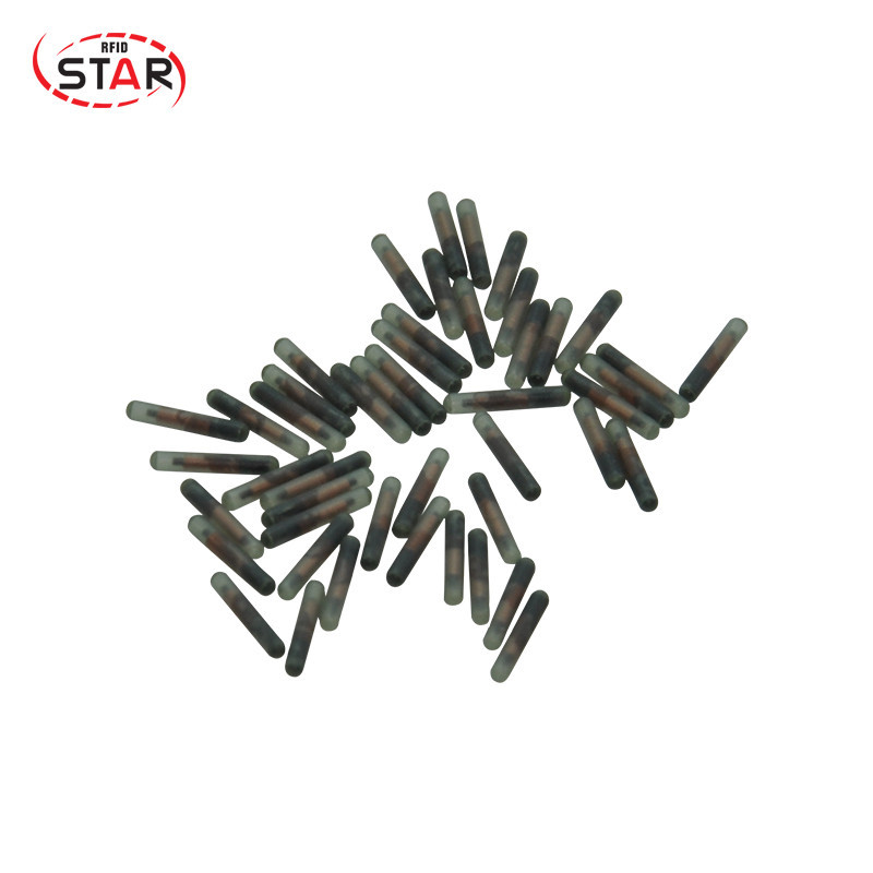 ISO FDX-B 1.4*8mm cattle transponder chip Animal Pet Tracking Microchip 134.2khz Rfid glass tag 80pc