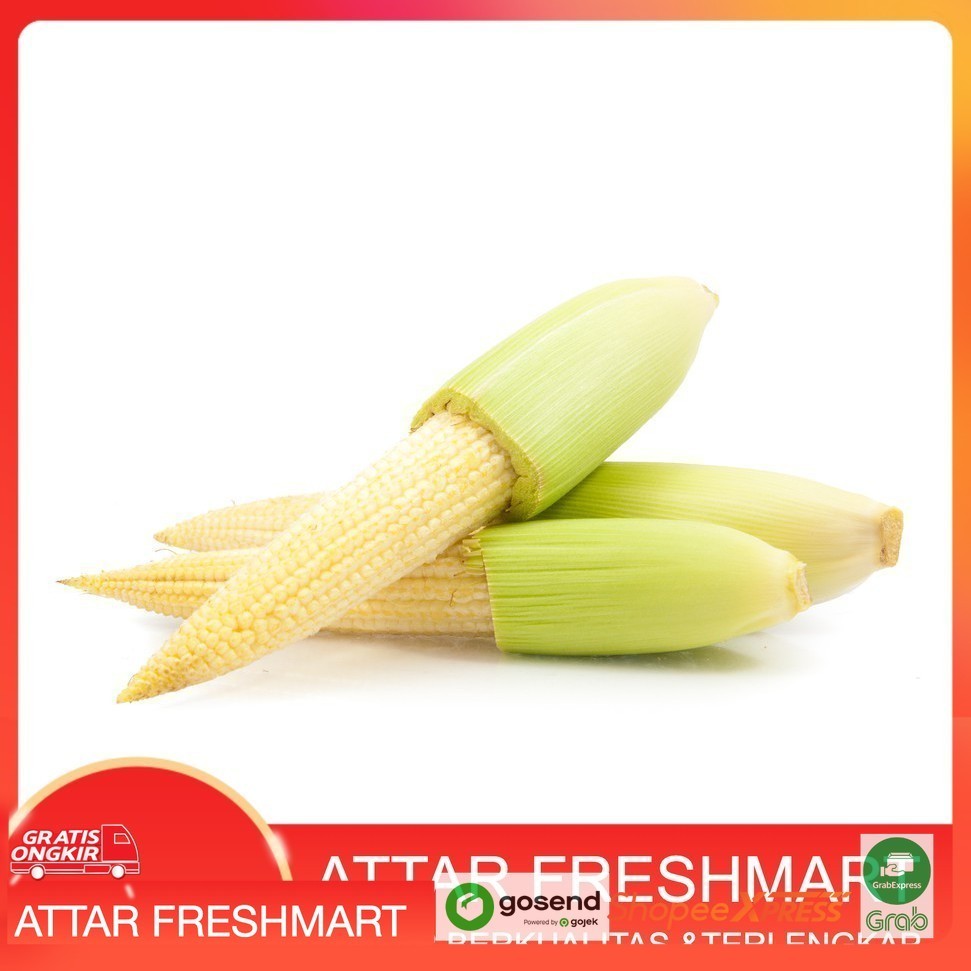 

KIRIM INSTAN [Jagung baby 250/500g]